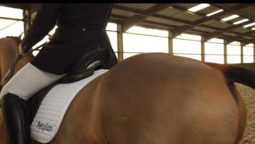 16683810_611639139030034_7977372315948956721_n