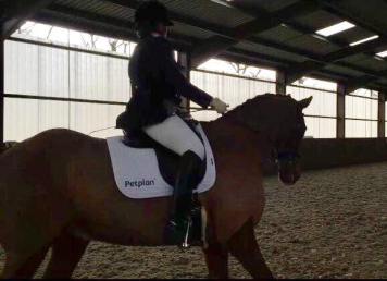 16864804_611639145696700_5525505398427518576_n