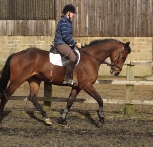 1625454_10151998672937115_7881242123254836401_n