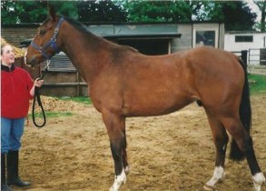 19437622_669249096602371_6306920492294140067_n