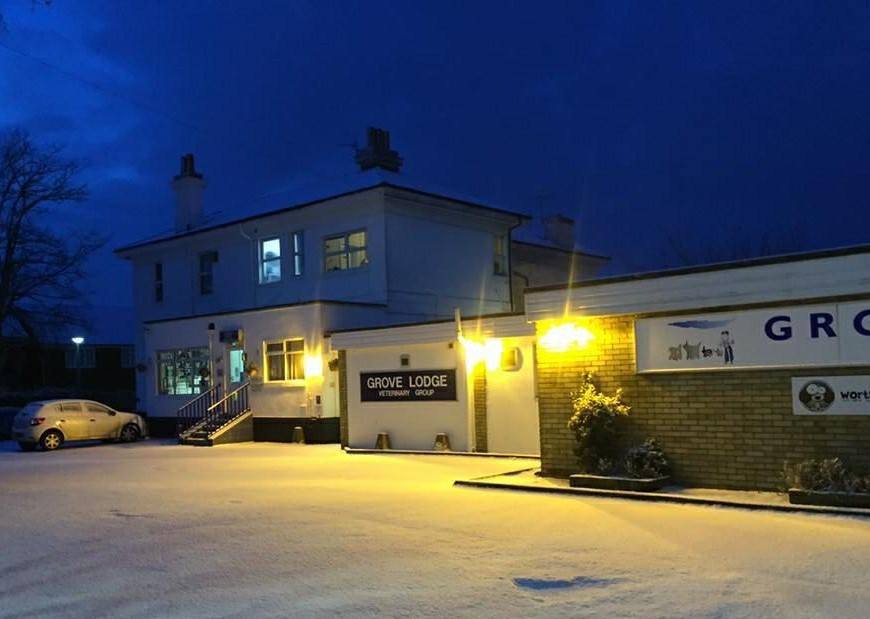 28279759_1163672240401848_2616820030381228032_n