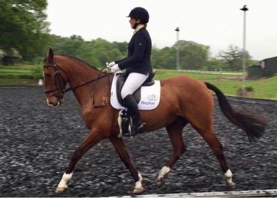 32267381_812405775620035_5183014654179278848_n