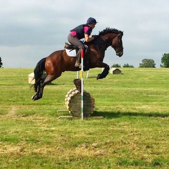 34713013_212976986162761_7939223012019011584_n