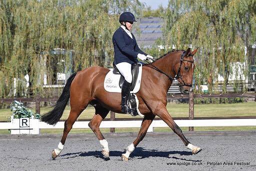 43137598_921556384704973_1345559163018674176_n