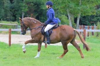 nels veteran july 19